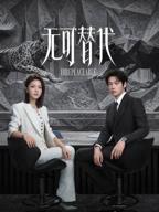 无可替代电视剧免费观看在线
